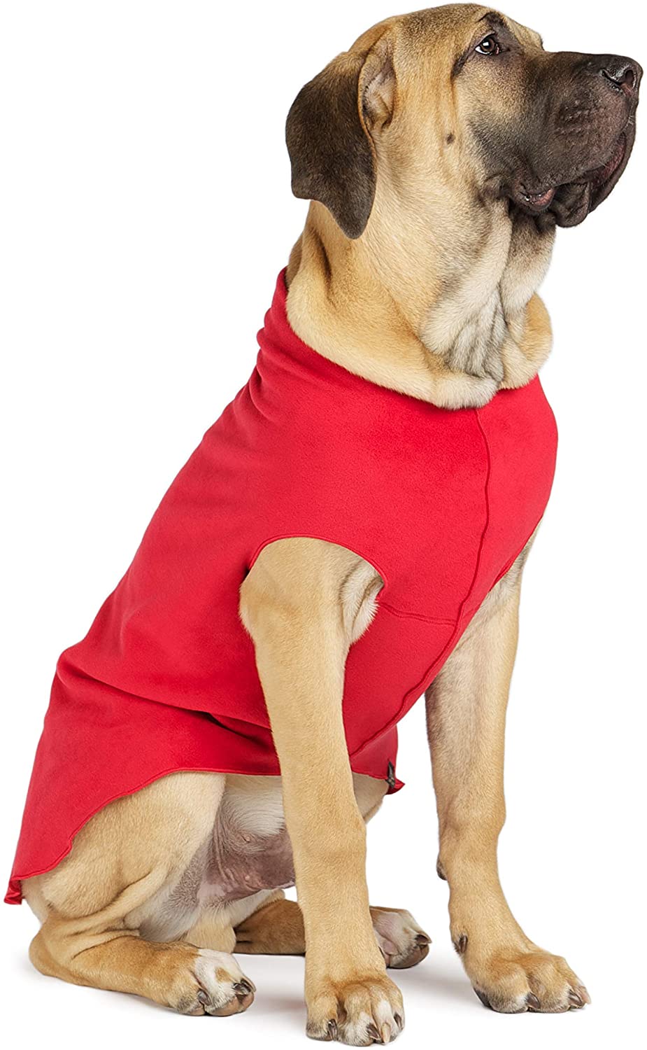 Thumbnail 10